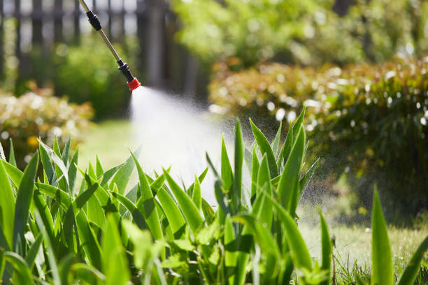 Tamper-Resistant Bait Stations for Rodents in Galion