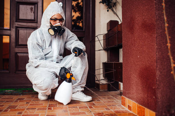 Attic and Crawl Space Rodent Treatment in Galion