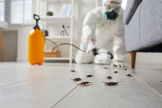 Commercial Rodent Management in Galion